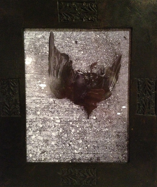 Fallen, by Linda Achard