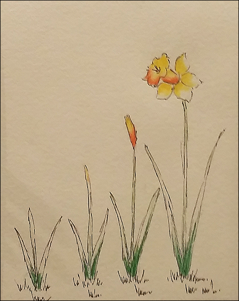 Spring is Here, by Vanita Doyle