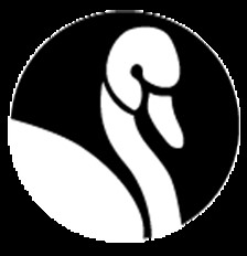 swandaylogo